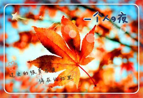 三年级作文一张照片