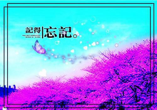 平生一顾是终年秦琳贾铮 平生一顾是终年免费阅读