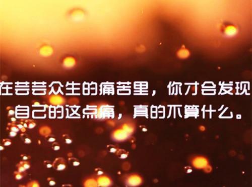 免费小说强势锁婚顾少的千亿甜妻by柴小柴完结版阅读
