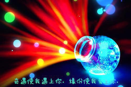 新婚夜王爷带着白月光回府了全本免费江蔚晚萧靖北小说全文试读