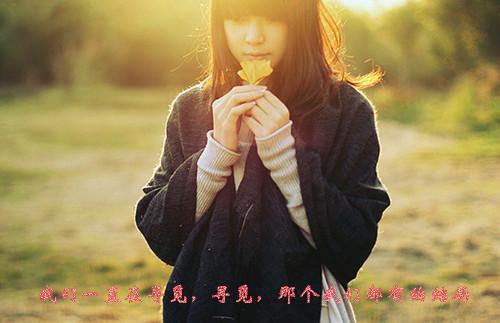 刚废我太子之位，又跪求我登基精彩小说(多喝热水)全章节阅读