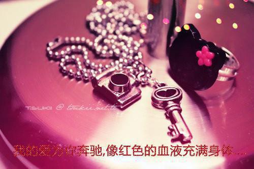 林枫肖红小说 肖红林枫女总裁的神级保镖全文免费阅读