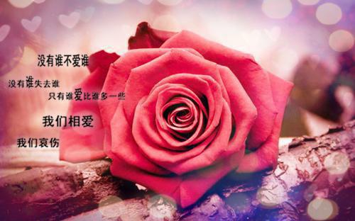 末世灾变我为守护神全文小说免费_臣风精彩阅读
