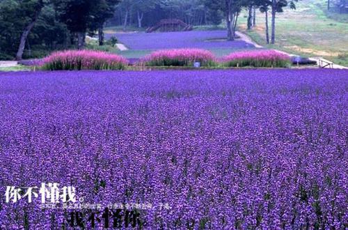 全章节小说慕幼卿重生山谷俗人最新阅读