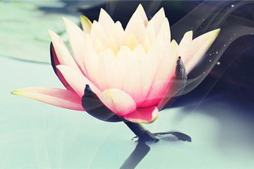 团宠毒妃：摊牌了夫君是妖皇全本小说（团宠毒妃：摊牌了夫君是妖皇）全文阅读