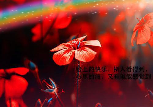 闪婚老公是千亿首富「免费小说」海彤,战胤大结局阅读