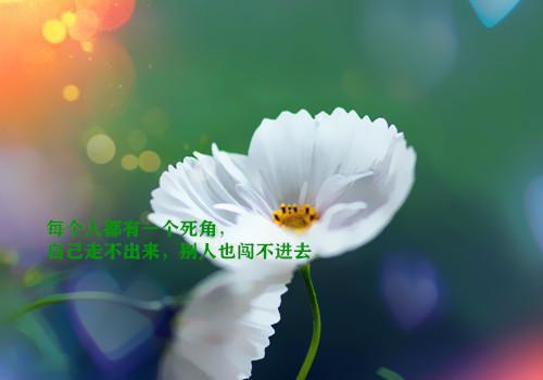 少儿百科全书读后感