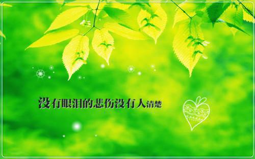 小说替嫁后我又掉马了宋暖暖江景城完结版全文免费阅读
