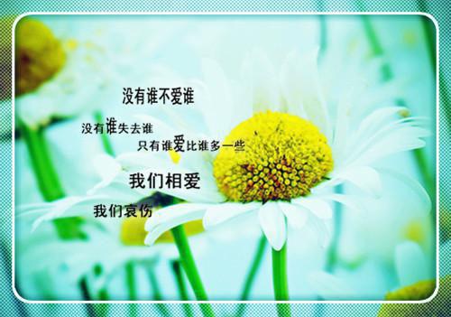全章节小说相思意风闹最新阅读