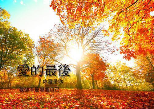 仙医闯都市小说(扮猪吃虎)林锋李菲菲章节阅读