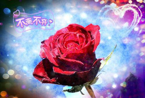 我帮妈妈洗碗作文