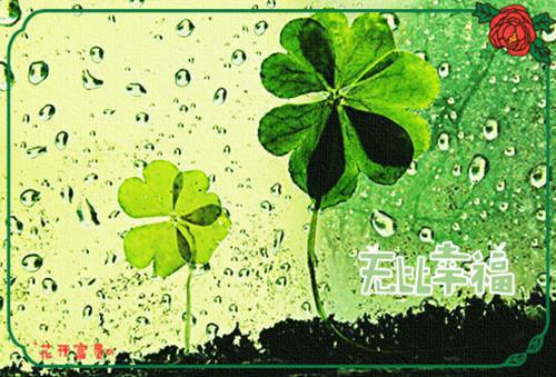 在你手中碎掉的我顾时年叶轻轻全文免费阅读
