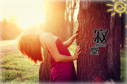 小说五爷夫人又美又野第1章的小说免费阅读