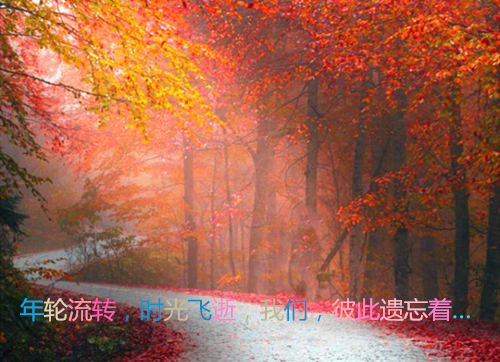 云裳这本书的读后感