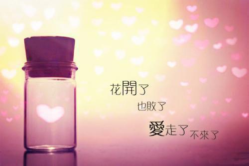 可爱多少钱一斤小说全文免费阅读 栖见