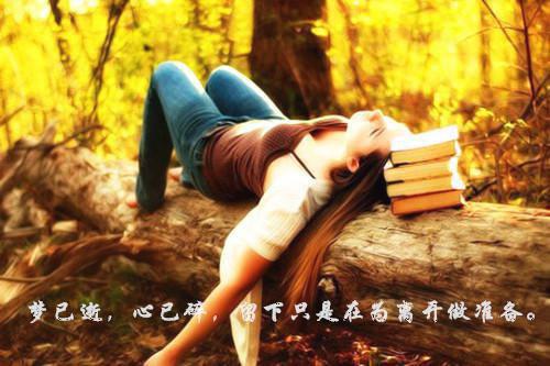 桑羡岑言礼（桑羡岑言礼）全文免费阅读无弹窗大结局_桑羡岑言礼全文最新章节列表（桑羡岑言礼）