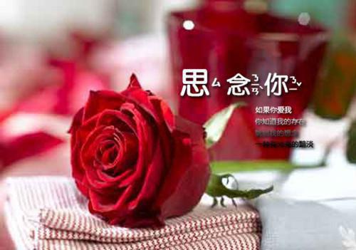 苏简封子奕小说完结文封少的团宠夫人精彩阅读