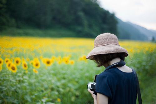 梦里花无情全本小说梦里花无情免费章节阅读