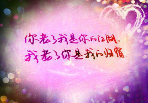 我体内有条龙小说(都市)叶锋周晴无错版阅读