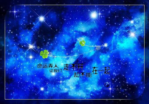 谁说复仇不是一种梦想？——《白鲸》读后感