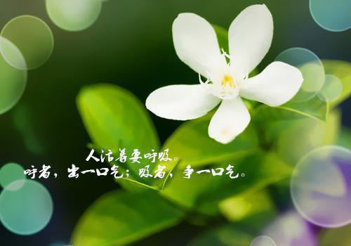 励志的至理名言