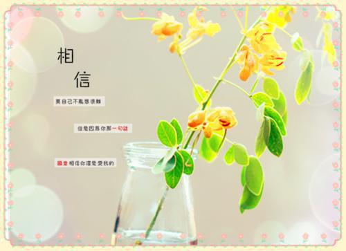 傅少的暖婚新娘禾风小说免费阅读