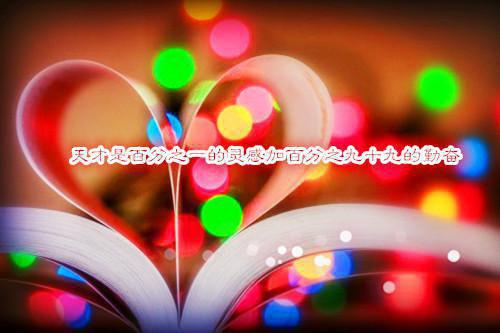 唐清白牧野小说 唐清白牧野完结版阅读