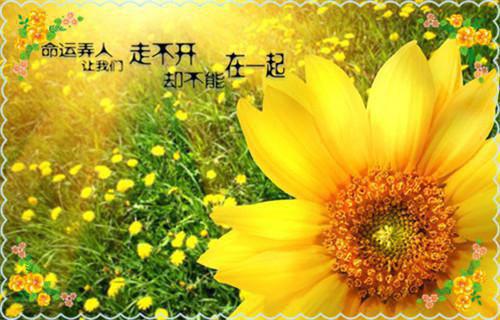 作者为唐颖小的小说不再相爱免费阅读