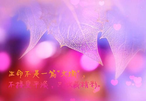 夙愿来生项浅洛颖小说 奇幻项浅洛颖章节列表阅读
