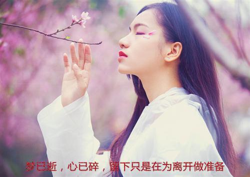规则怪谈，副本被我杀穿了秦止小说完整版大结局-规则怪谈，副本被我杀穿了秦止小说完结版在线阅读