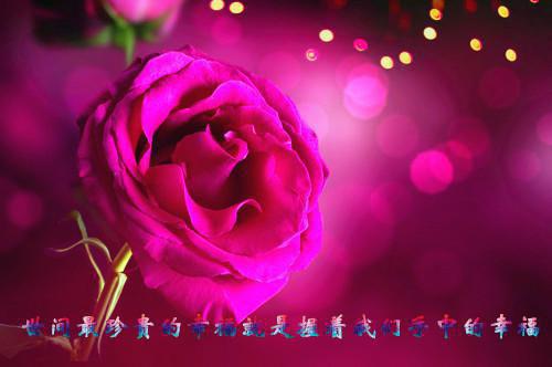 （温晚顾斯）亿万星辰与微光后续一口气无广告全书章节表