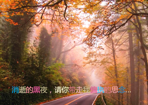 最新小说重生九零：裴少的小甜饼免费阅读