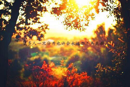 小狮经典语录