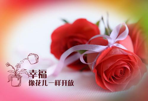 系统：开局入赘获得百万补贴全文小说谷枫苏邵婷目录