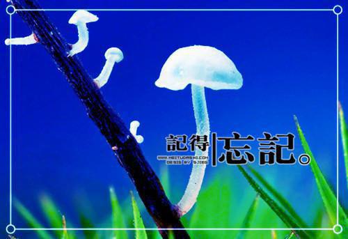 爱不起躲不起小说无弹窗 孟雨霏顾战帆虐情全本阅读