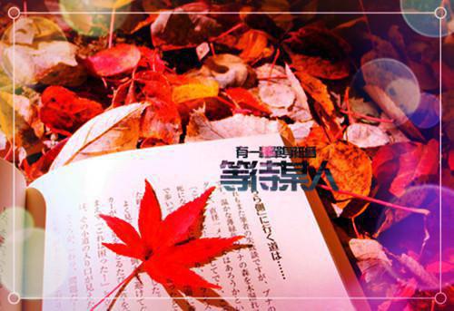 误惹总裁被偷心郁可熙承许行全文阅读 窗外小甘菊