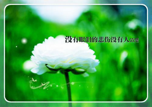 非洲名言