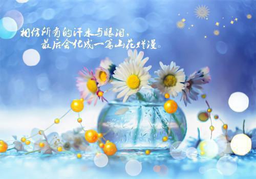 绝品傲婿小说by牵牛绳阎鸿苏允沫在线阅读