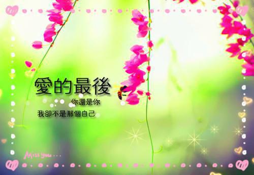 盖世神医小说(逆袭)张灿李倩茹无广告阅读