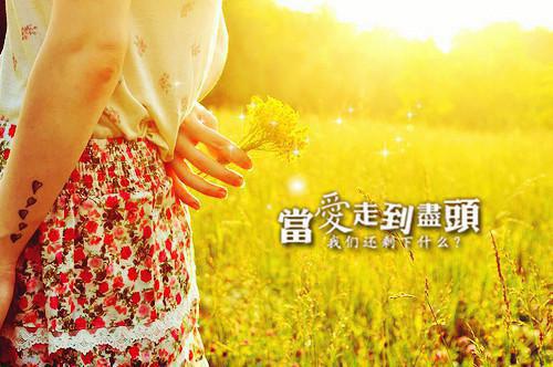 沈凌酒司行儒小说 沈凌酒司行儒免费阅读