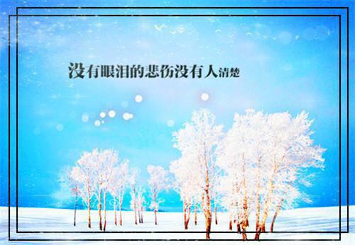 感恩老师的文章