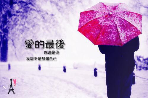 扮猪吃虎庶女VS残疾病娇将军《秦音儿穆钰》小说在线阅读