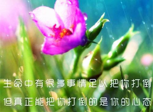 我从未想过会遇到你却遇上了永不毕业的闺蜜情