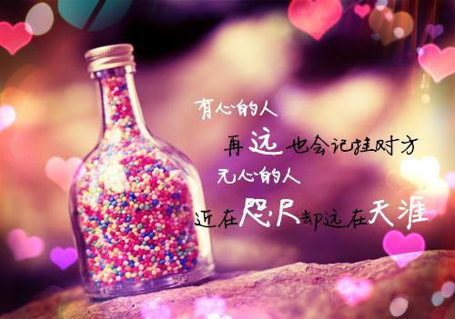 放飞梦想作文