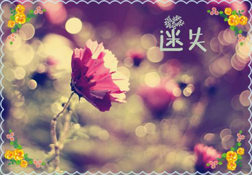 呆桃殿下写的小说我们注定相逢小说全文阅读
