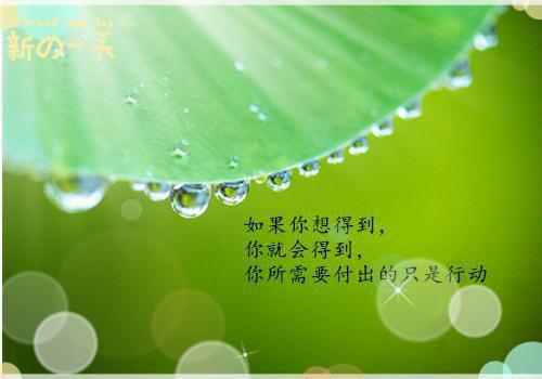 《血腥星期天》经典观后感集