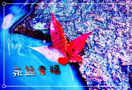 低头族高中作文