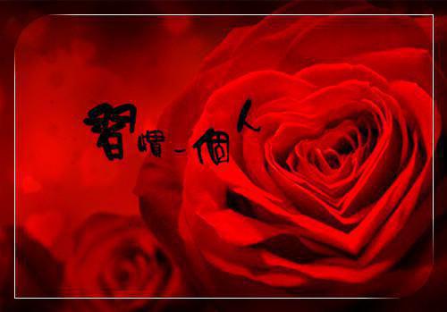 被习惯锁定的行动轨道