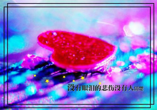 灾难的读后感