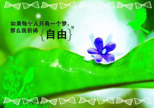 沈北屿乔婉兮在线阅读（他的深情不可靠）全文免费阅读无弹窗大结局_他的深情不可靠最新章节列表（沈北屿乔婉兮）